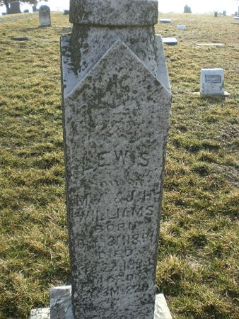 WILLIAMS, LEWIS - Monroe County, Iowa | LEWIS WILLIAMS 