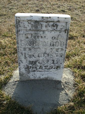 WOOD, ALICE - Monroe County, Iowa | ALICE WOOD 