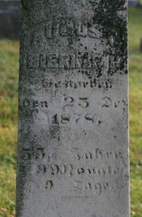 BIERKAMP, AUGUST - Muscatine County, Iowa | AUGUST BIERKAMP 