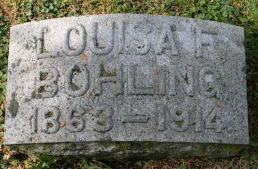 BOHLING, LOUISA F. - Muscatine County, Iowa | LOUISA F. BOHLING 