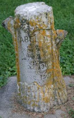 WINKELMANN, MABEL M. - Muscatine County, Iowa | MABEL M. WINKELMANN 