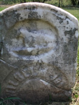 AHRENS, WILHELM - Muscatine County, Iowa | WILHELM AHRENS 