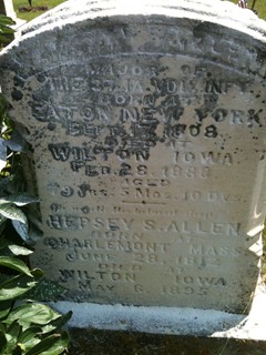 ALLEN, LYMAN - Muscatine County, Iowa | LYMAN ALLEN 