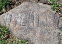 BEUTHIEN, WILHELM - Muscatine County, Iowa | WILHELM BEUTHIEN 