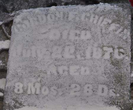 CHIFFIN, GORDON F. - Muscatine County, Iowa | GORDON F. CHIFFIN 