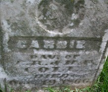 COLE, CARRIE - Muscatine County, Iowa | CARRIE COLE 