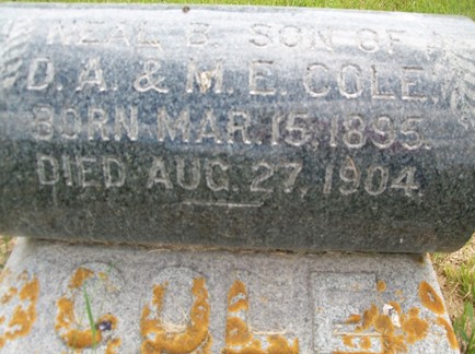 COLE, NEAL BOARDMAN - Muscatine County, Iowa | NEAL BOARDMAN COLE 