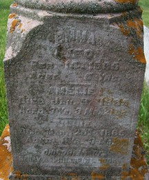 COOK, AMELIE - Muscatine County, Iowa | AMELIE COOK 