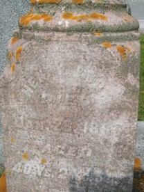 COOK, HENRY - Muscatine County, Iowa | HENRY COOK 