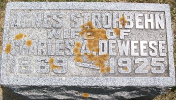 DEWEESE, AGNES - Muscatine County, Iowa | AGNES DEWEESE 