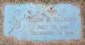 TURNER ELLEDGE, ALICE D. - Muscatine County, Iowa | ALICE D. TURNER ELLEDGE 