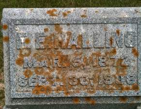 HALLING, F. E. - Muscatine County, Iowa | F. E. HALLING 