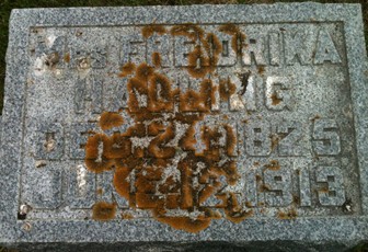 HALLING, FREIDRIKA - Muscatine County, Iowa | FREIDRIKA HALLING 