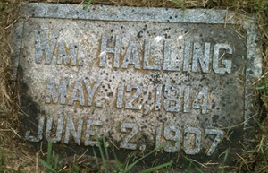 HALLING, WILLIAM - Muscatine County, Iowa | WILLIAM HALLING 