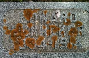 HENNEKER, EDWARD - Muscatine County, Iowa | EDWARD HENNEKER 