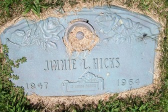 HICKS, JIMMIE L. - Muscatine County, Iowa | JIMMIE L. HICKS 