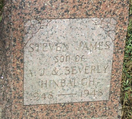 HINBAUGH, STEVEN JAMES - Muscatine County, Iowa | STEVEN JAMES HINBAUGH 