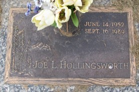 HOLLINGSWORTH, JOE L. - Muscatine County, Iowa | JOE L. HOLLINGSWORTH 