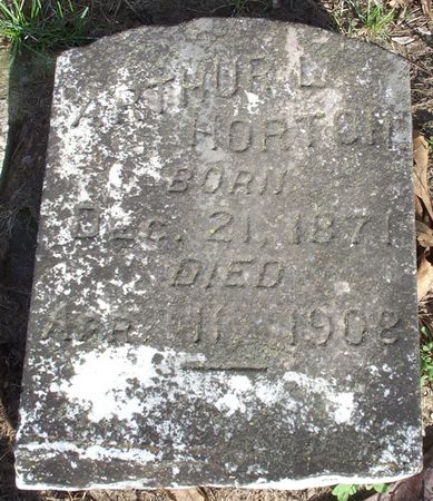 HORTON, ARTHUR L. - Muscatine County, Iowa | ARTHUR L. HORTON 