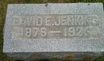 JENKINS, DAVID E. - Muscatine County, Iowa | DAVID E. JENKINS 