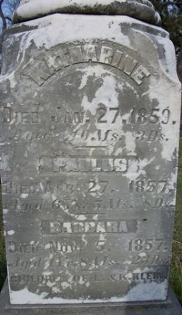 KLEIN, PAULUS - Muscatine County, Iowa | PAULUS KLEIN 