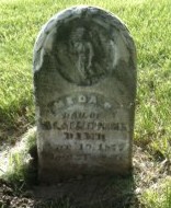 KLEPPINGER, MEDA S. - Muscatine County, Iowa | MEDA S. KLEPPINGER 