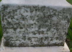 KREBS, GERTRUDE - Muscatine County, Iowa | GERTRUDE KREBS 