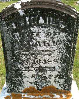 LAKE, ABIGAIL S. - Muscatine County, Iowa | ABIGAIL S. LAKE 