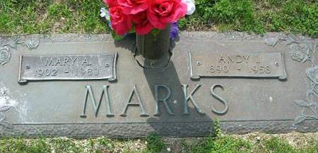 TOBIAS MARKS, MARY ANNA - Muscatine County, Iowa | MARY ANNA TOBIAS MARKS 