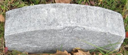 MARTIN, ARTHUR - Muscatine County, Iowa | ARTHUR MARTIN 