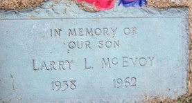 MCEVOY, LARRY L. - Muscatine County, Iowa | LARRY L. MCEVOY 