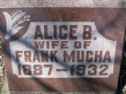 MUCHA, ALICE B. - Muscatine County, Iowa | ALICE B. MUCHA 