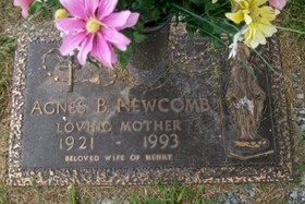 GIESSREGEN NEWCOMB, AGNES B. - Muscatine County, Iowa | AGNES B. GIESSREGEN NEWCOMB 