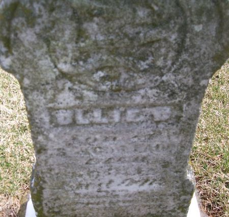 PADEN, OLLIE - Muscatine County, Iowa | OLLIE PADEN 