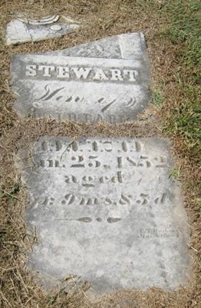 PARMER, STEWART - Muscatine County, Iowa | STEWART PARMER 