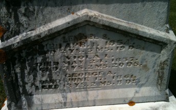 PATTERSON, GEORGE A. - Muscatine County, Iowa | GEORGE A. PATTERSON 