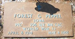 PEPPEL, FOREST G. - Muscatine County, Iowa | FOREST G. PEPPEL 
