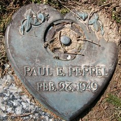 PEPPEL, PAUL E. - Muscatine County, Iowa | PAUL E. PEPPEL 