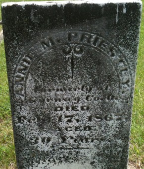 PRIESTLY, ANNIE M. - Muscatine County, Iowa | ANNIE M. PRIESTLY 