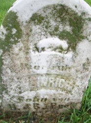 PUCK, HEINRICH - Muscatine County, Iowa | HEINRICH PUCK 