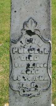 PURCELL, JOHN - Muscatine County, Iowa | JOHN PURCELL 