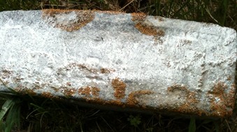 RAUB, INFANT - Muscatine County, Iowa | INFANT RAUB 