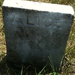 RAUPE, ALICE - Muscatine County, Iowa | ALICE RAUPE 