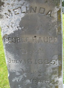 RAUPE, MELINDA - Muscatine County, Iowa | MELINDA RAUPE 