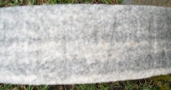 REINS, INFANT - Muscatine County, Iowa | INFANT REINS 