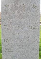 REINS, WILHELM - Muscatine County, Iowa | WILHELM REINS 