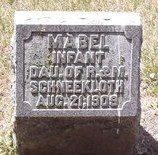 SCHNEEKLOTH, MABEL - Muscatine County, Iowa | MABEL SCHNEEKLOTH 