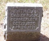 SCHNEEKLOTH, RUTH D. A. - Muscatine County, Iowa | RUTH D. A. SCHNEEKLOTH 