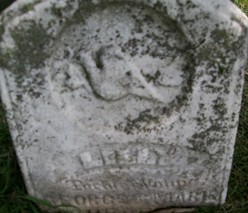 SCHRODER, LILLY - Muscatine County, Iowa | LILLY SCHRODER 