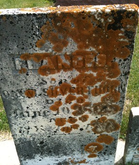 SILVERTHORN, FRANCES - Muscatine County, Iowa | FRANCES SILVERTHORN 